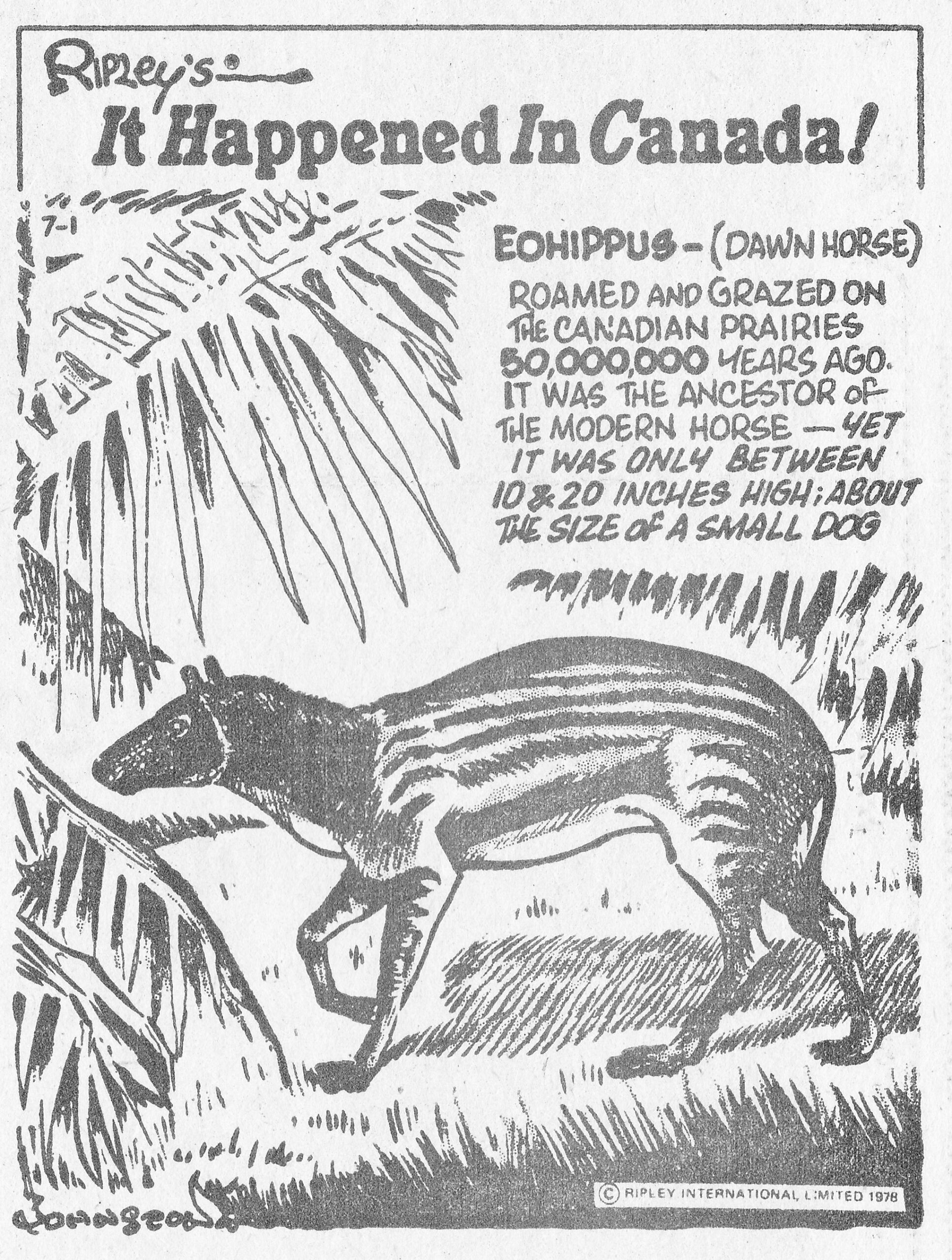 C:\Users\Robert\Documents\CARTOONING ILLUSTRATION ANIMATION\IMAGE CARTOON I\IT HAPPENED IN CANADA, 1 July 1978.jpg