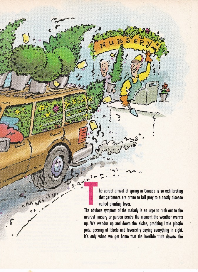 A car with trees on it
Description automatically generated