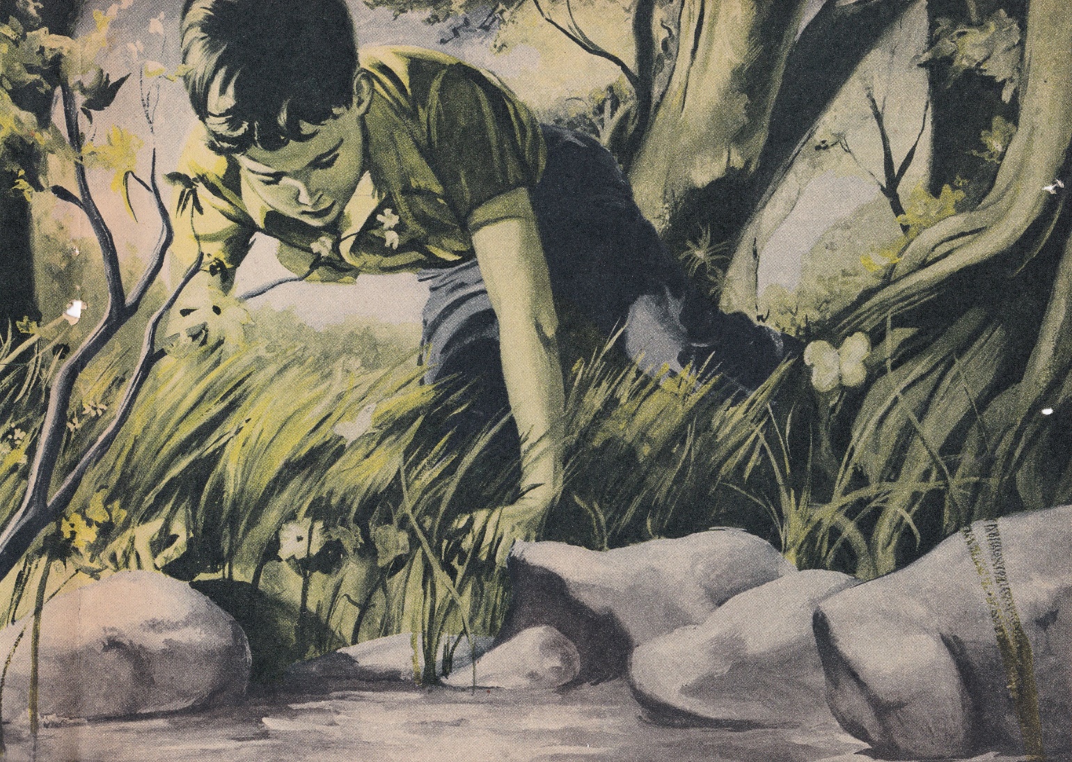 A child looking at a stream Description automatically generated